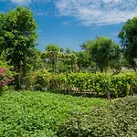 Tra Que Flowers Hoi An Homestay