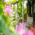 Golden Forest Villa