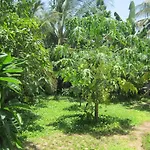 Local Beach Homestay