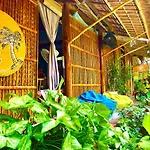 Under The Coconut Tree Hoi An Homestay