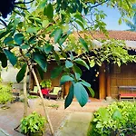 Under The Coconut Tree Hoi An Homestay
