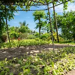 Tra Que Flower Homestay