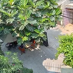Smart Garden Homestay