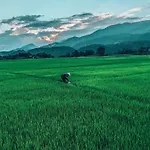 Hoi An Paddy House Homestay