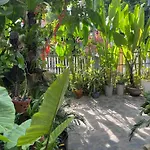 Hoi An Sunny Garden