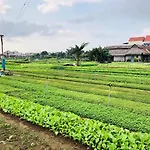 Snow Pearl Homestay Hoi An