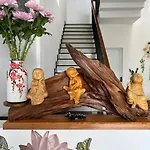 Oasis Homestay