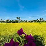 Tai Ngoc Thao Villa