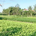 Hoi An Sunny Homestay