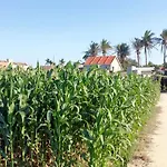 Hoi An Sunny Homestay