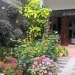 Green Grass Homestay
