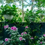 Green Bud Hostel And Homestay