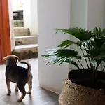 Mali Home 1