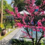 The Beach Hoi An Homestay