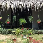 An Bang Sunrise Beach Bungalow