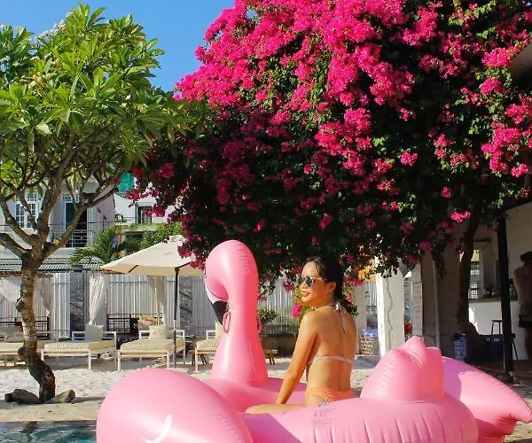 Cococha Villa-1001 Insta Photos (Adults Only)