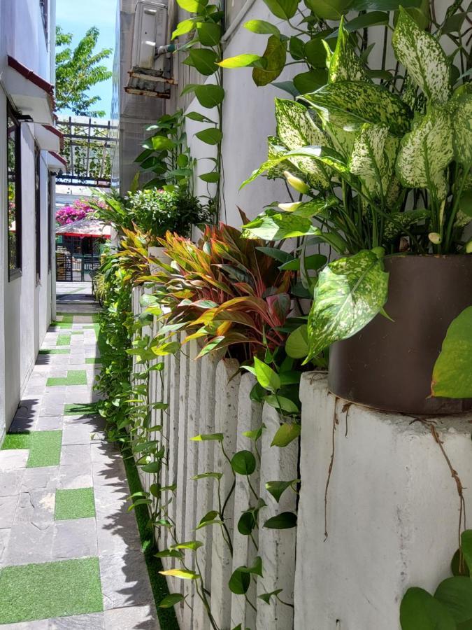 Privatunterkunft Bean Grass