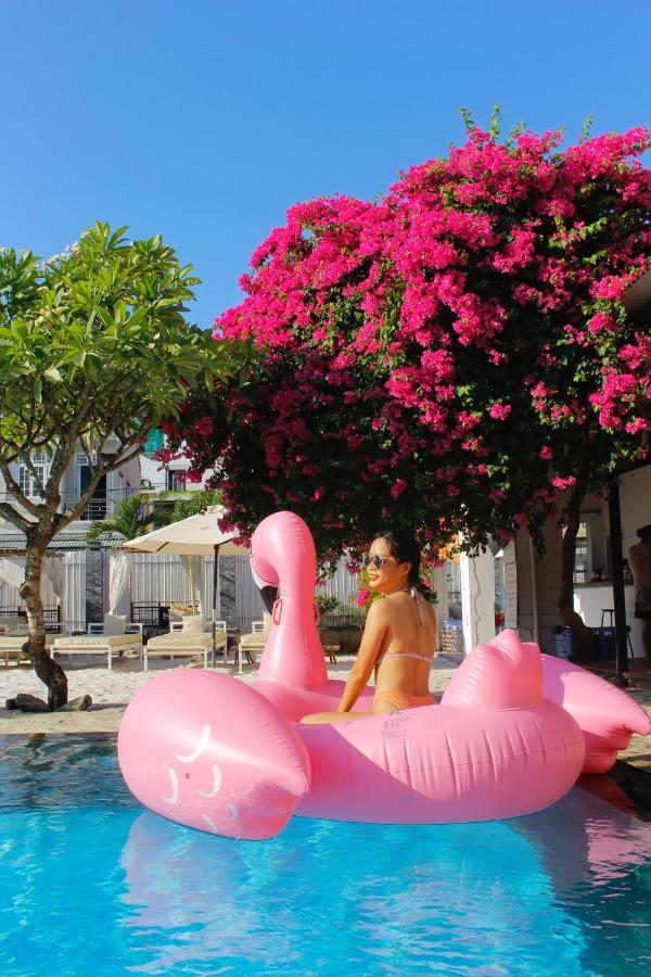 Villa Cococha Villa-1001 Insta Photos (adults Only)