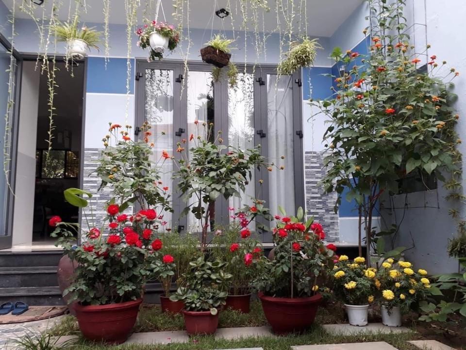 Homestay Cherry Garden