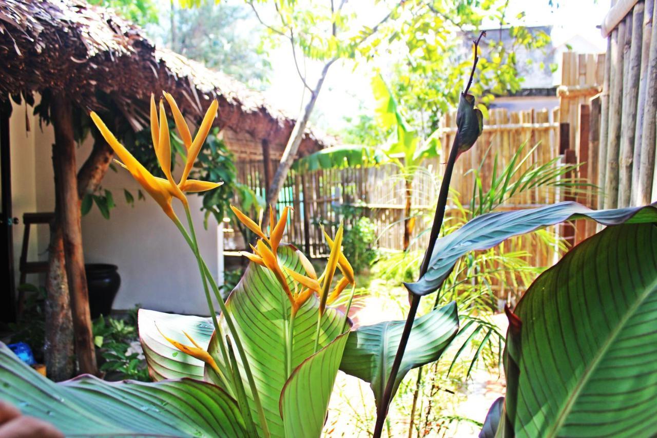 Homestay An Bang Purple