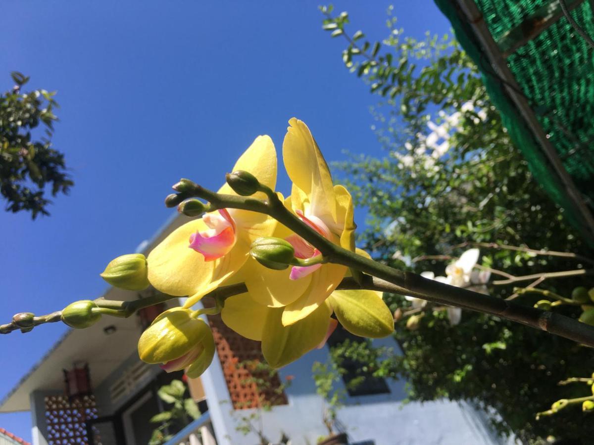 Cherry Garden Homestay Hoi An
