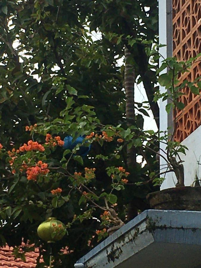 Homestay Cherry Garden