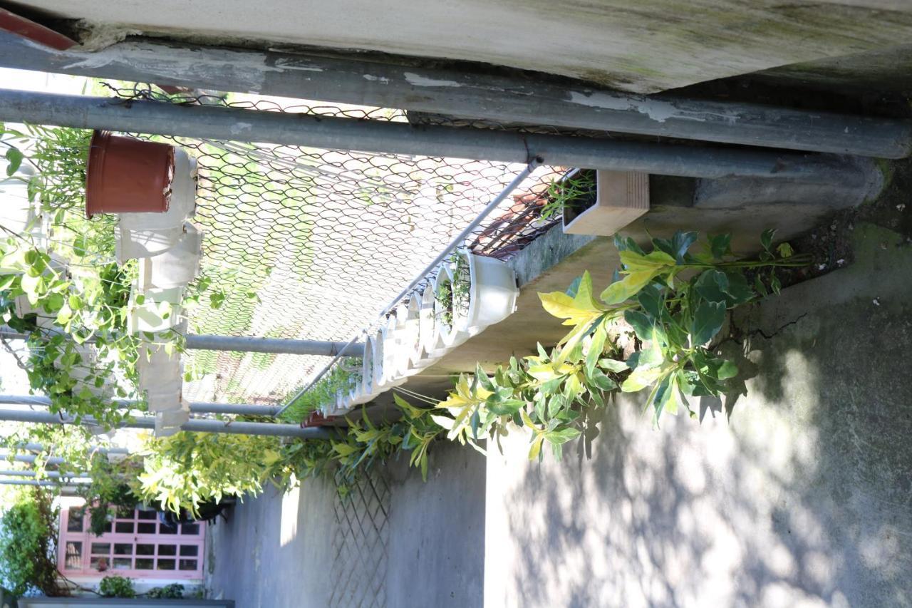 Katil Garden House 3*