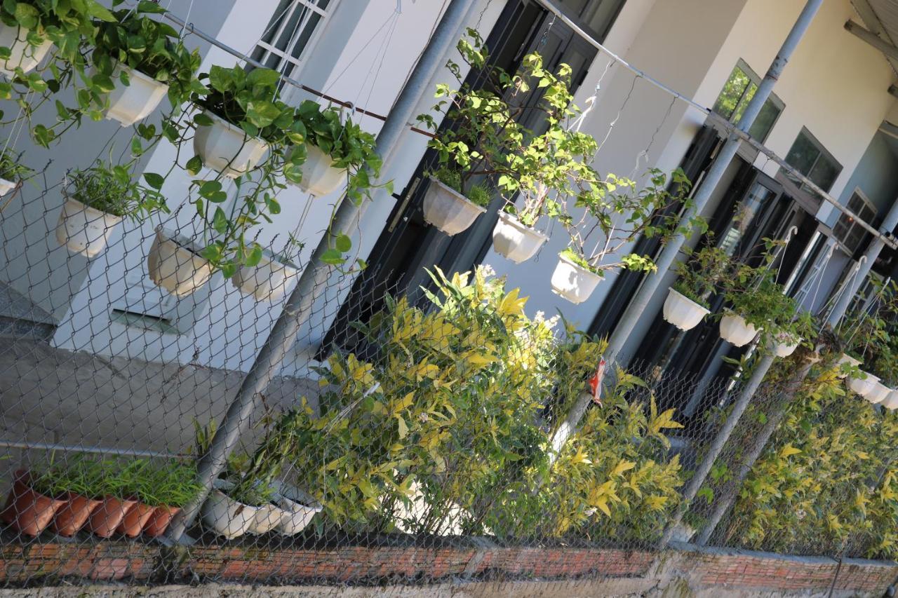 Garden House Katil