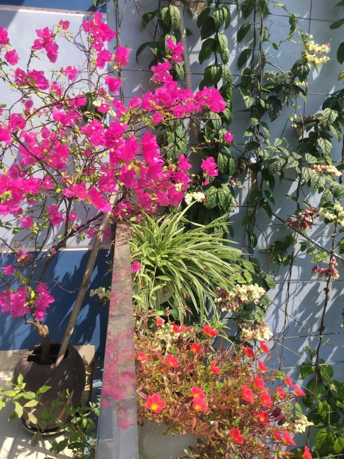 Homestay Cherry Garden Hoi An