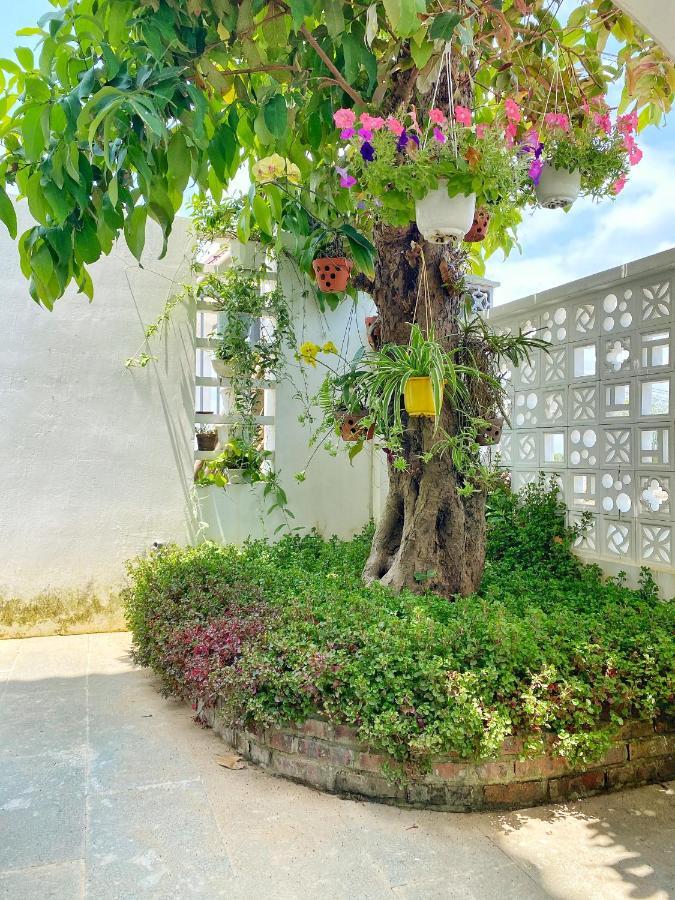 Cabbage Garden Hospedagem domiciliar Hoi An