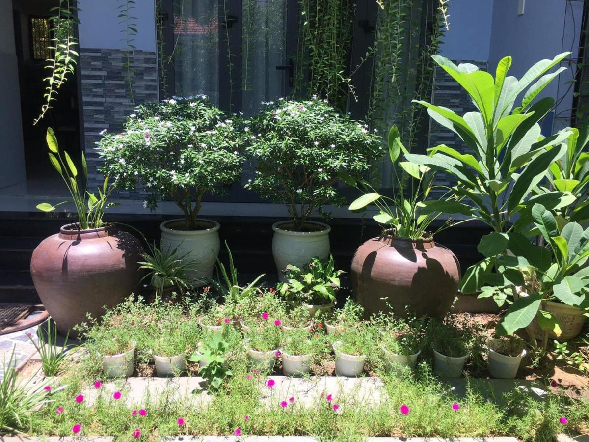 Homestay Cherry Garden