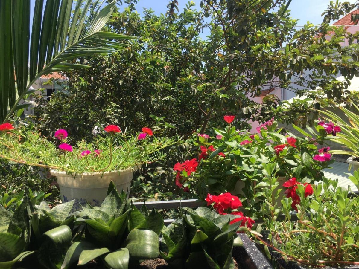 Cherry Garden Homestay *
