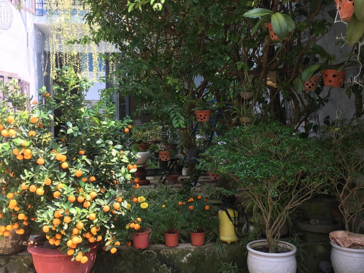 Cherry Garden * Hoi An