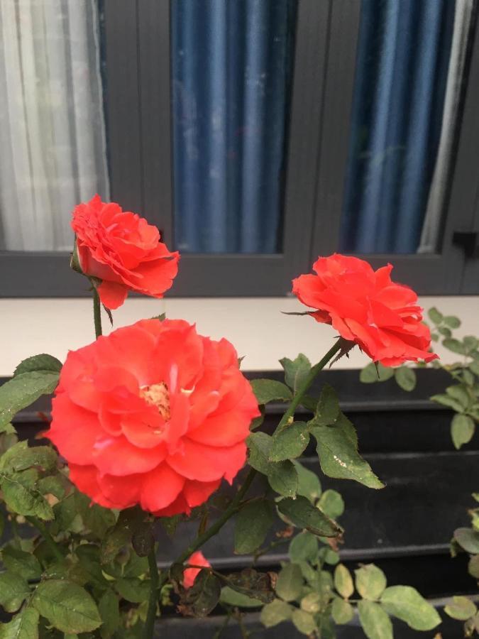 Cherry Garden Homestay Hoi An