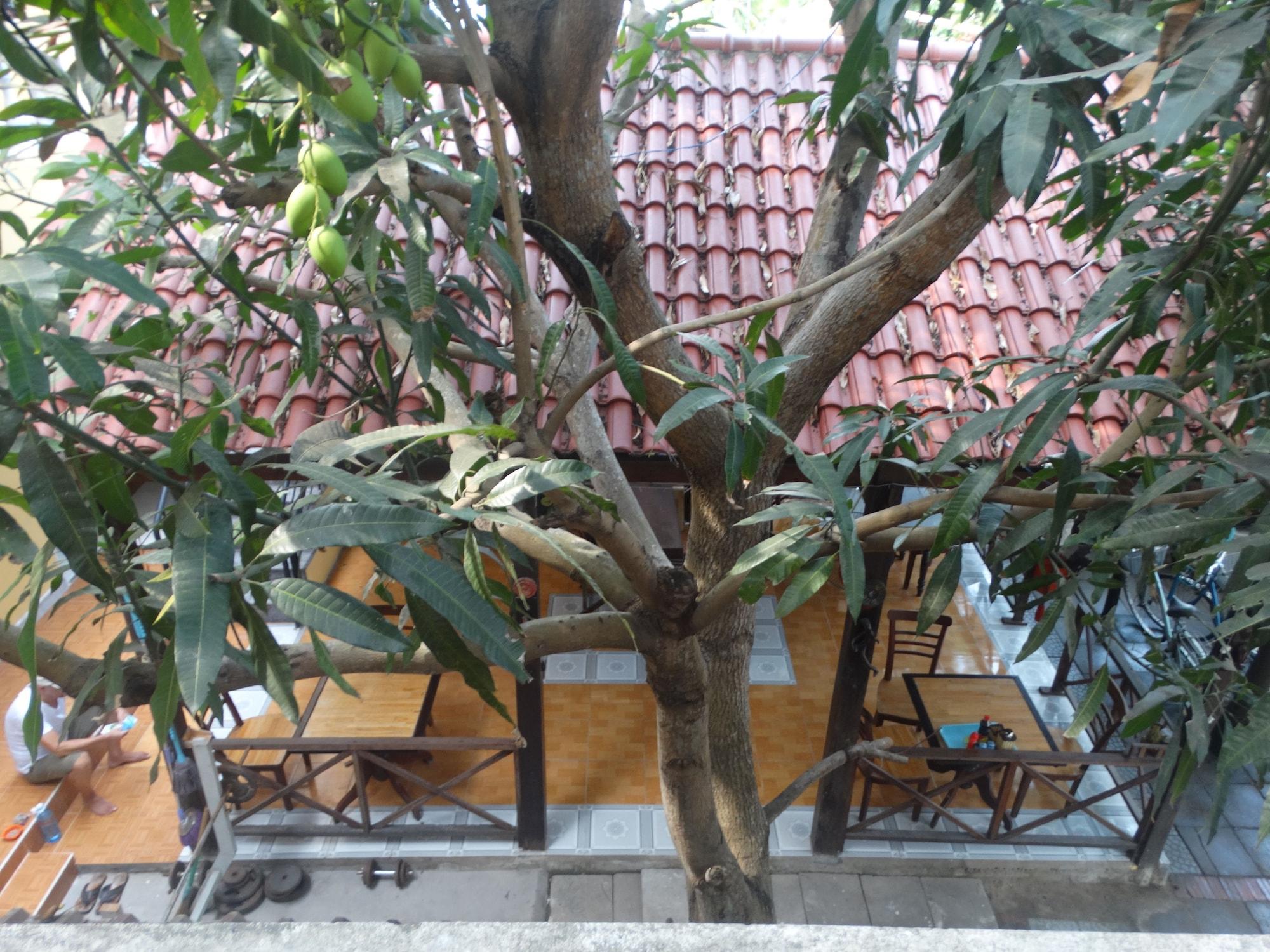 Homestay Yellow House Hoi An