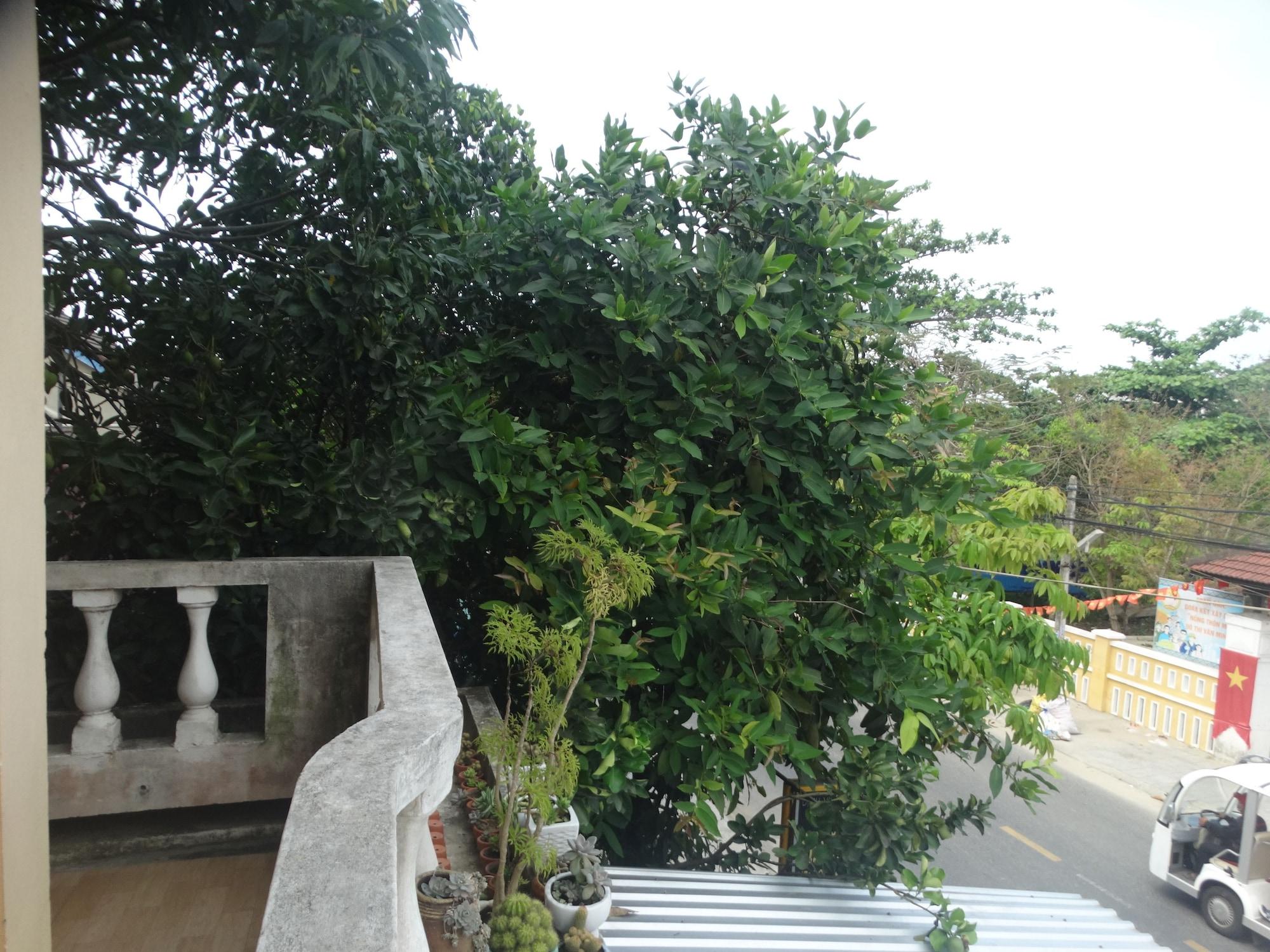 Homestay Yellow House Hoi An