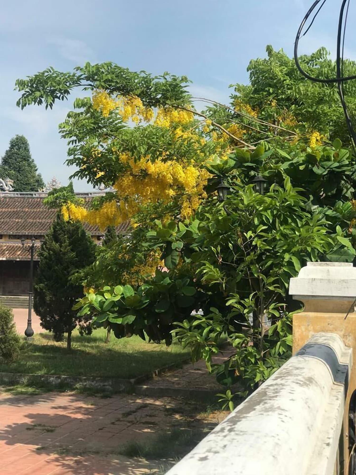 Chămpa Hội An