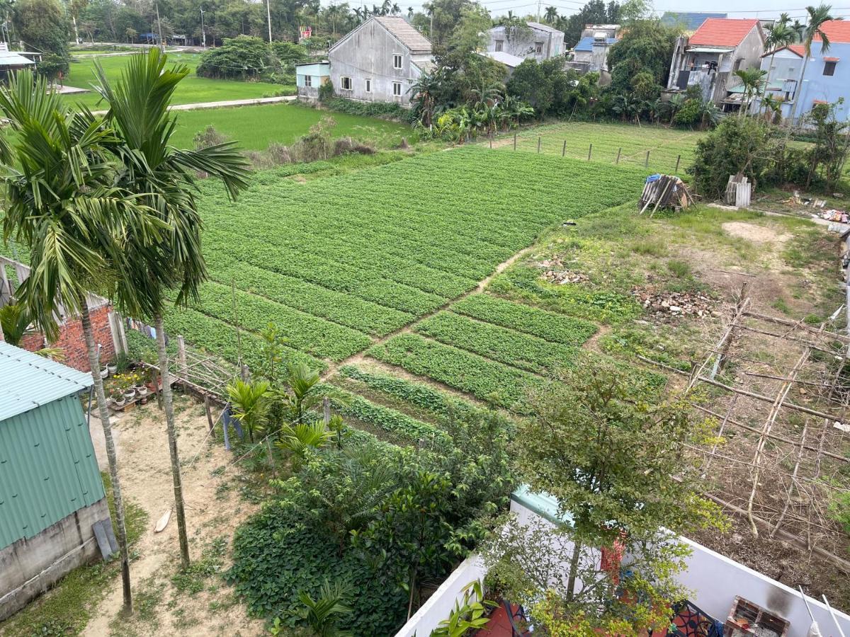 Moon House Homestay *