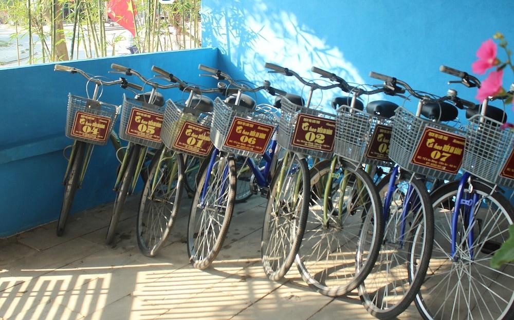 An Bang Dolphin Hội An