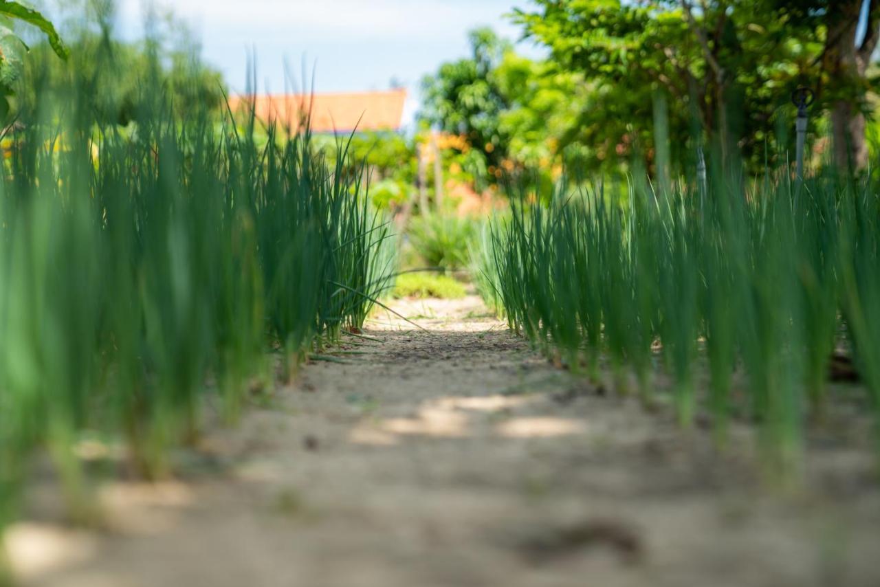 Tra Que Flowers Homestay Ở trọ Hội An