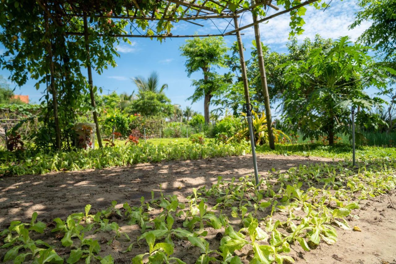 Ở trọ Tra Que Flowers Homestay