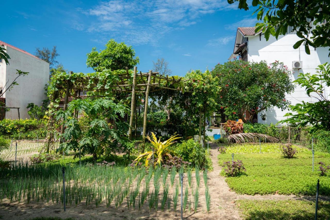 Ở trọ Tra Que Flowers Homestay