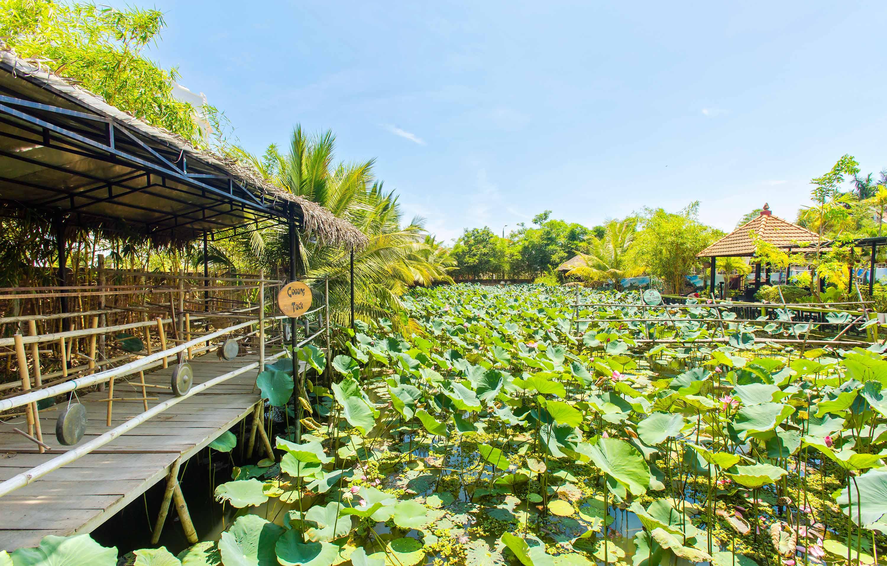 Phu Thinh Boutique Resort&spa Khu nghỉ mát Hội An
