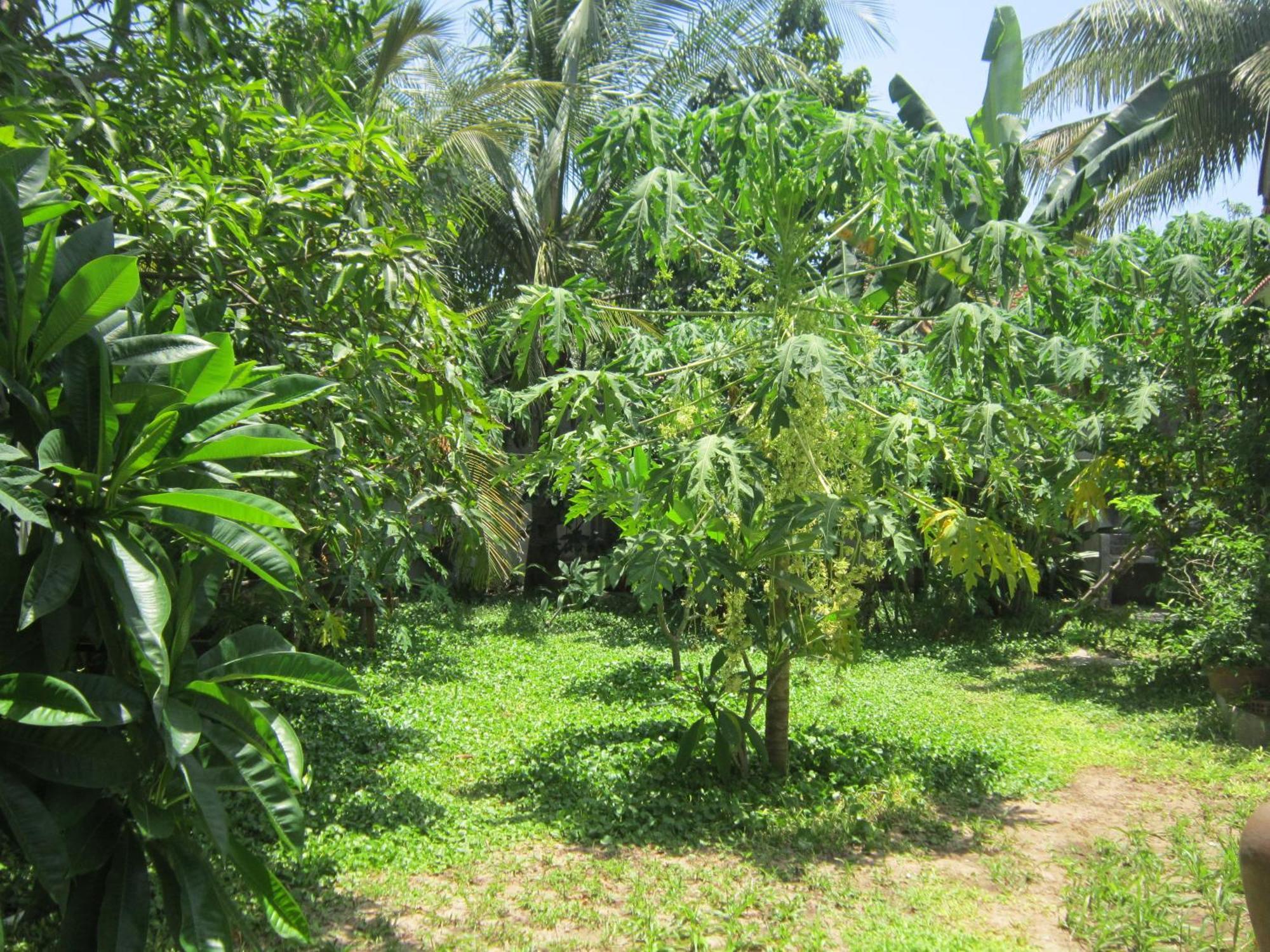 Local Beach Homestay