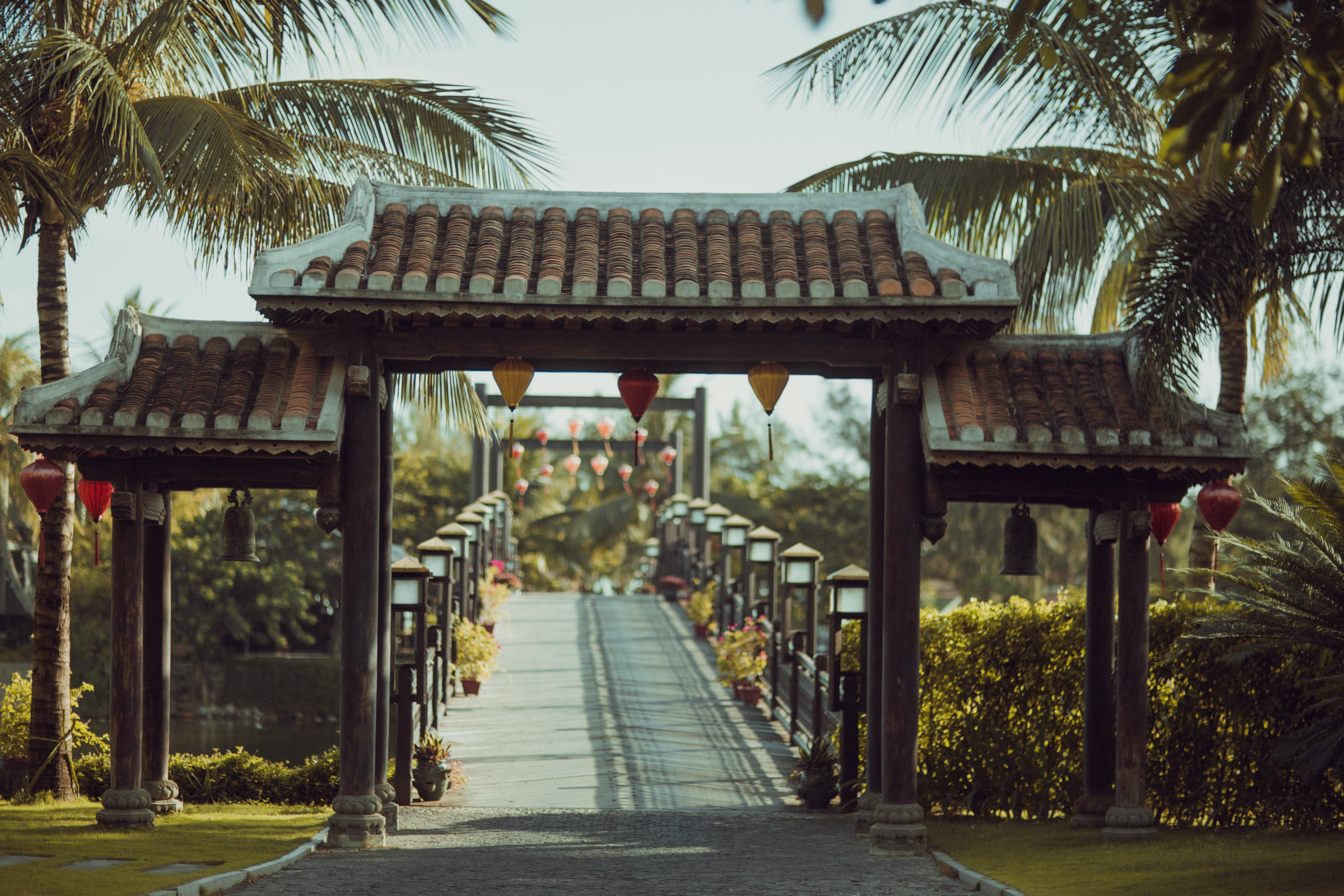 Koi & Hoi An