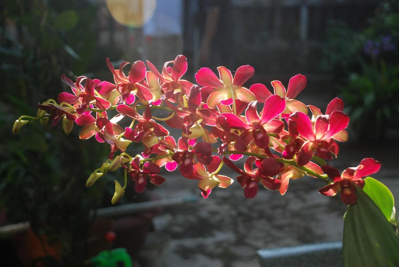 Villa Orchid Garden Riverside