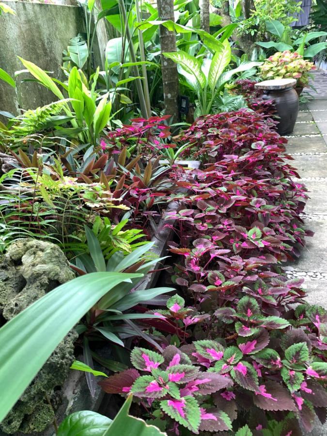 Sunny Garden * Hoi An