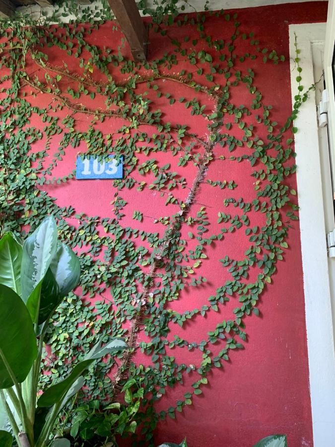 La Terrazza Bed & Breakfast Hoi An