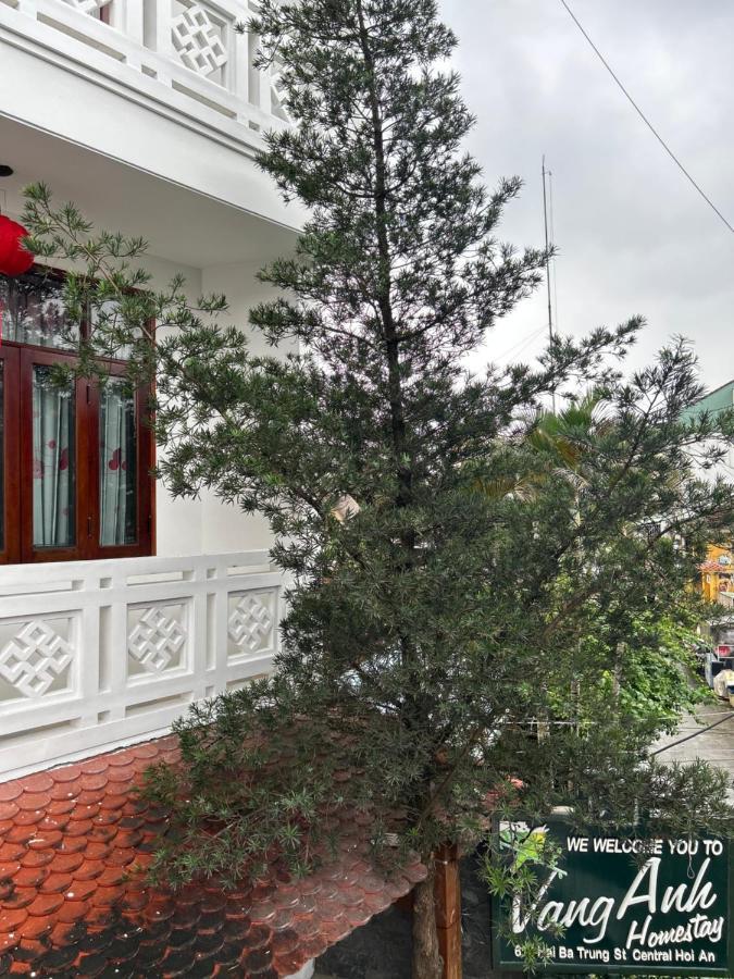 Homestay Vang Anh *