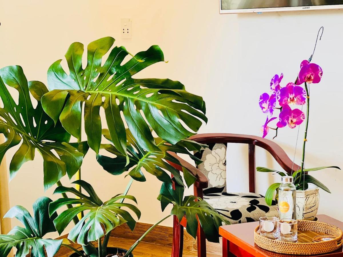 Thuy House Homestay Hoi An